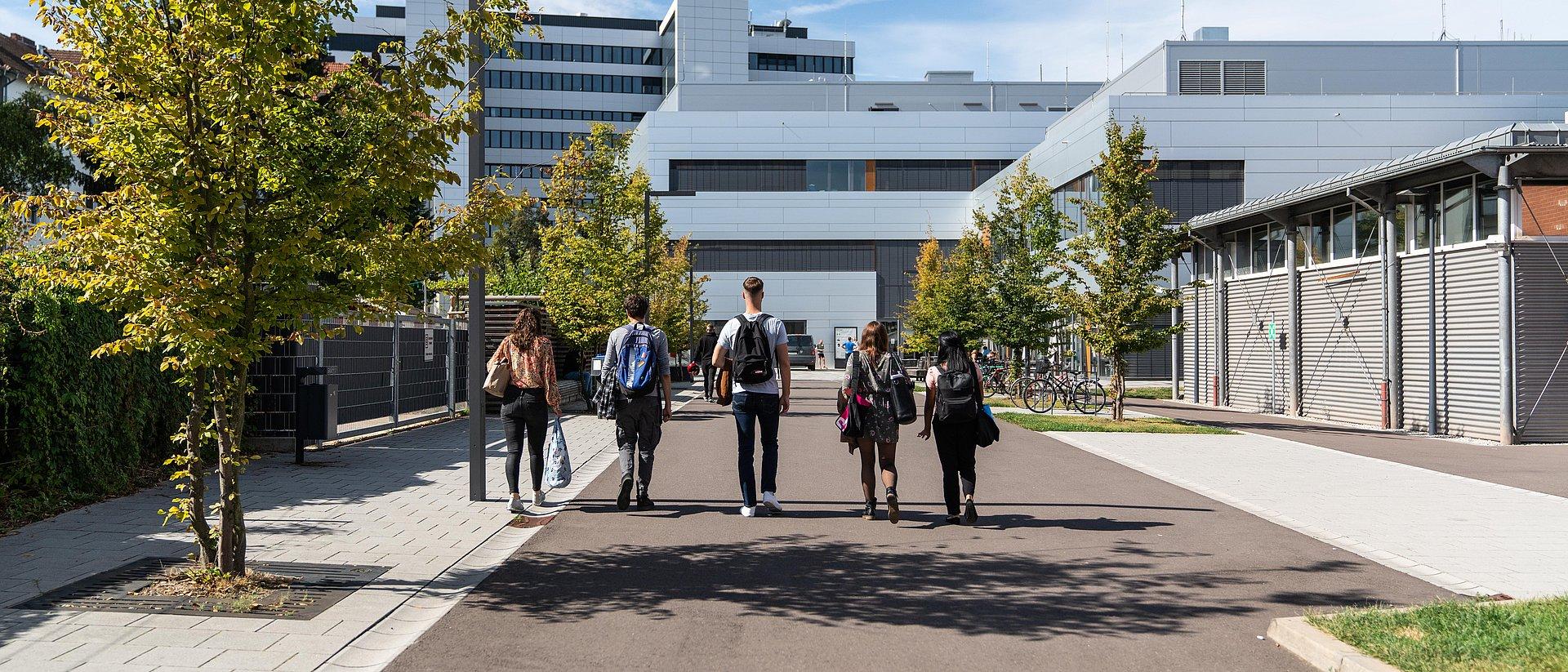 Fünf Personen mit Rucksäcken gehen eine asphaltierte Allee entlang.